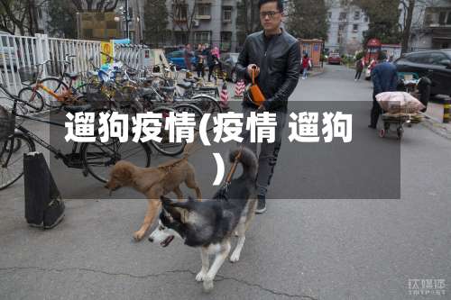 遛狗疫情(疫情 遛狗)-第2张图片