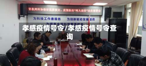 孝感疫情号令/孝感疫情号令查询-第2张图片