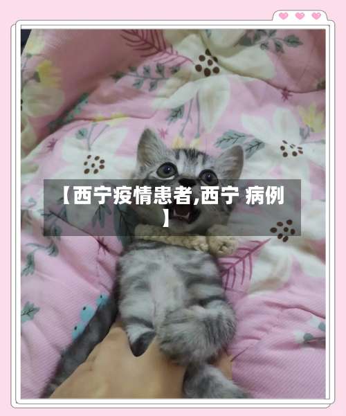 【西宁疫情患者,西宁 病例】