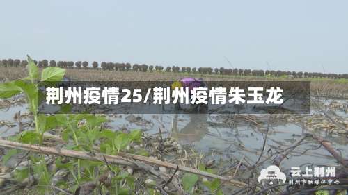 荆州疫情25/荆州疫情朱玉龙-第3张图片