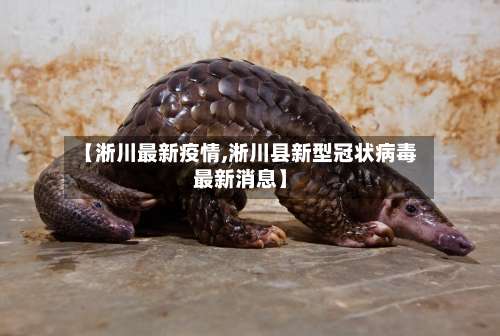【淅川最新疫情,淅川县新型冠状病毒最新消息】-第2张图片
