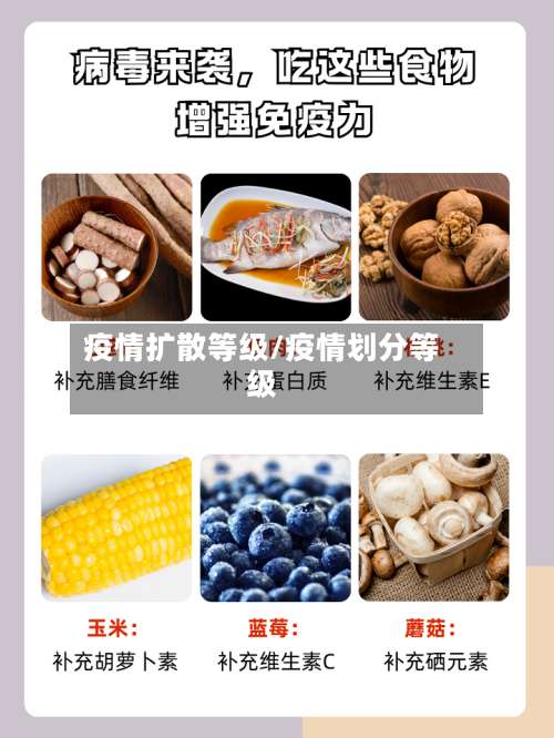 疫情扩散等级/疫情划分等级