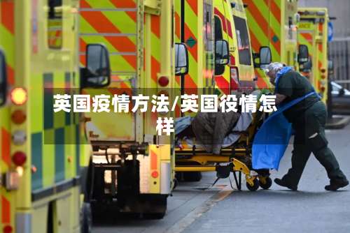 英国疫情方法/英国役情怎样