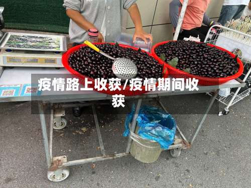疫情路上收获/疫情期间收获