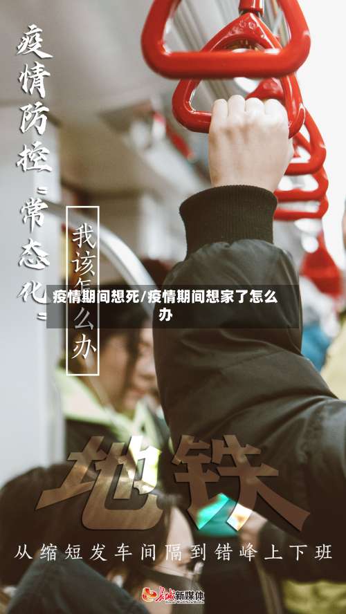 疫情期间想死/疫情期间想家了怎么办-第3张图片