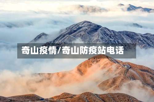 奇山疫情/奇山防疫站电话-第2张图片