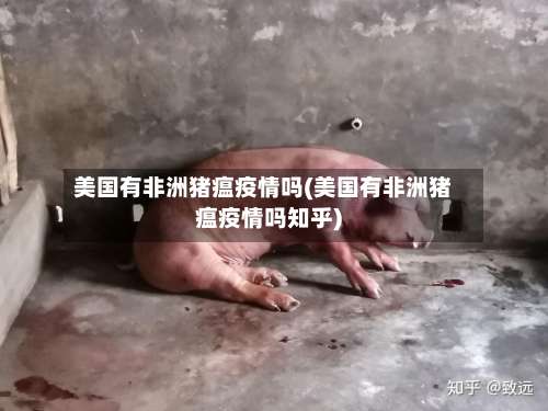 美国有非洲猪瘟疫情吗(美国有非洲猪瘟疫情吗知乎)