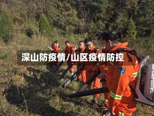 深山防疫情/山区疫情防控