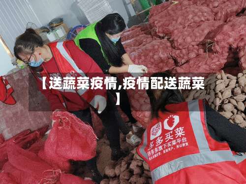 【送蔬菜疫情,疫情配送蔬菜】-第2张图片