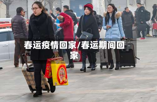 春运疫情回家/春运期间回家