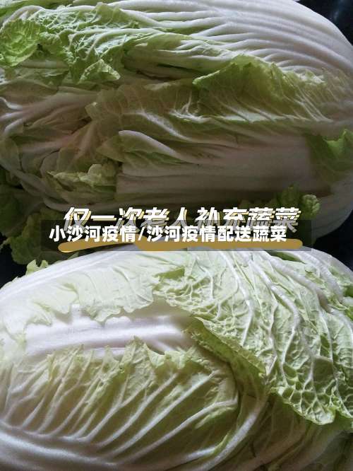 小沙河疫情/沙河疫情配送蔬菜-第2张图片