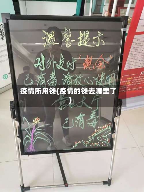 疫情所用钱(疫情的钱去哪里了)-第2张图片