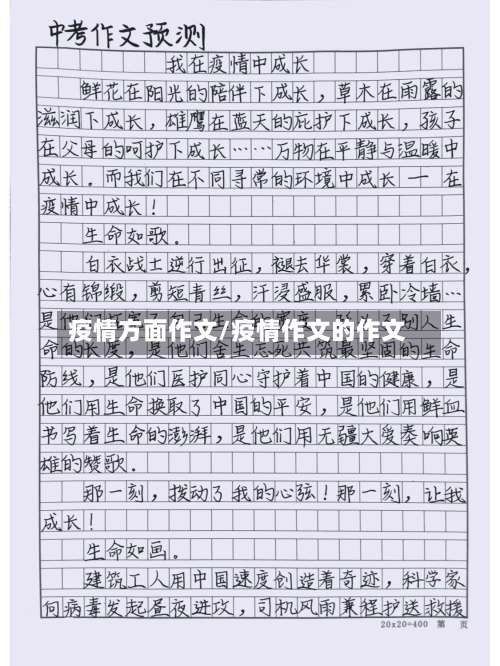 疫情方面作文/疫情作文的作文-第3张图片