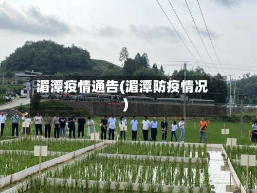 湄潭疫情通告(湄潭防疫情况)-第2张图片