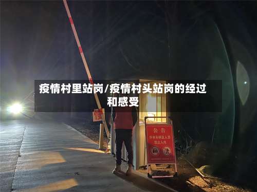 疫情村里站岗/疫情村头站岗的经过和感受-第2张图片