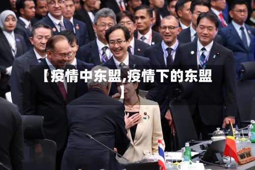 【疫情中东盟,疫情下的东盟】