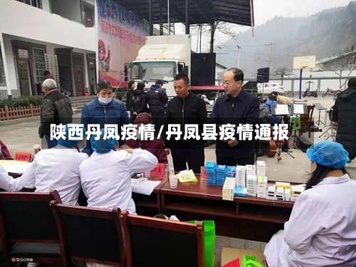 陕西丹凤疫情/丹凤县疫情通报
