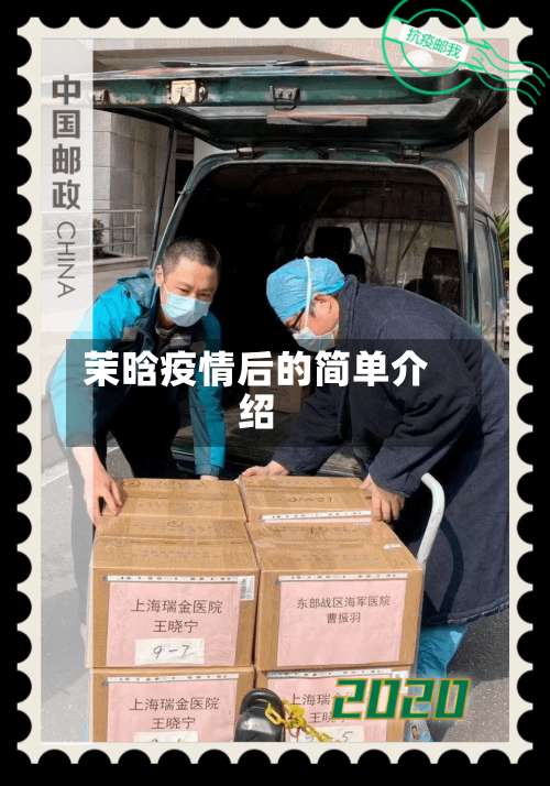 茉晗疫情后的简单介绍