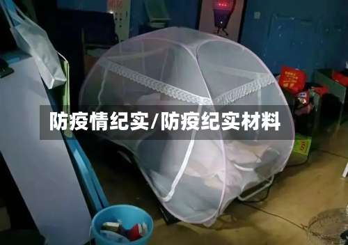 防疫情纪实/防疫纪实材料-第2张图片