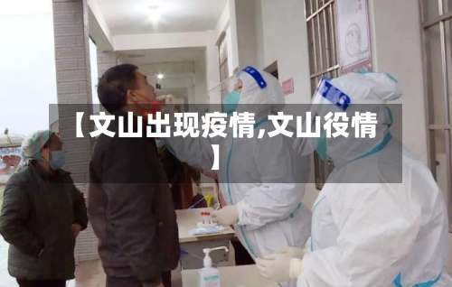 【文山出现疫情,文山役情】-第3张图片