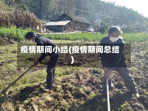 疫情期间小结(疫情期间总结)