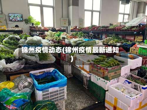 锦州疫情动态(锦州疫情最新通知)