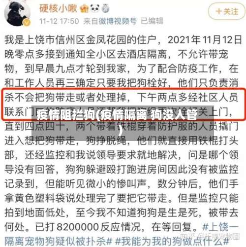 疫情阻拦狗(疫情隔离 狗没人管)-第2张图片