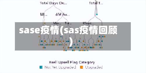 sase疫情(sas疫情回顾)