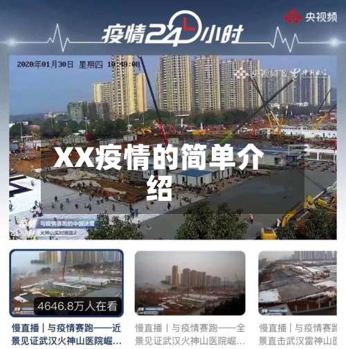 XX疫情的简单介绍