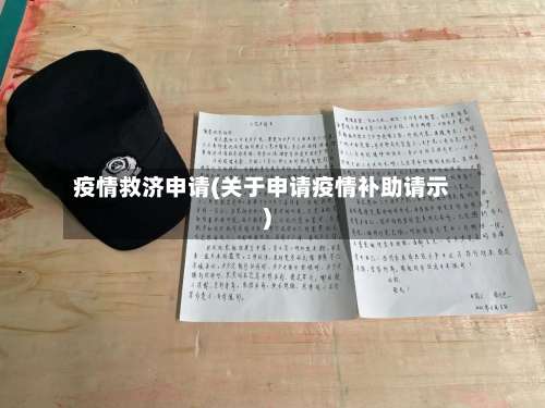 疫情救济申请(关于申请疫情补助请示)