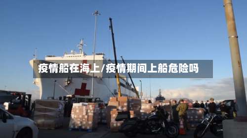 疫情船在海上/疫情期间上船危险吗