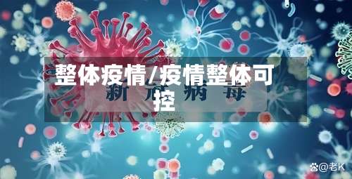整体疫情/疫情整体可控