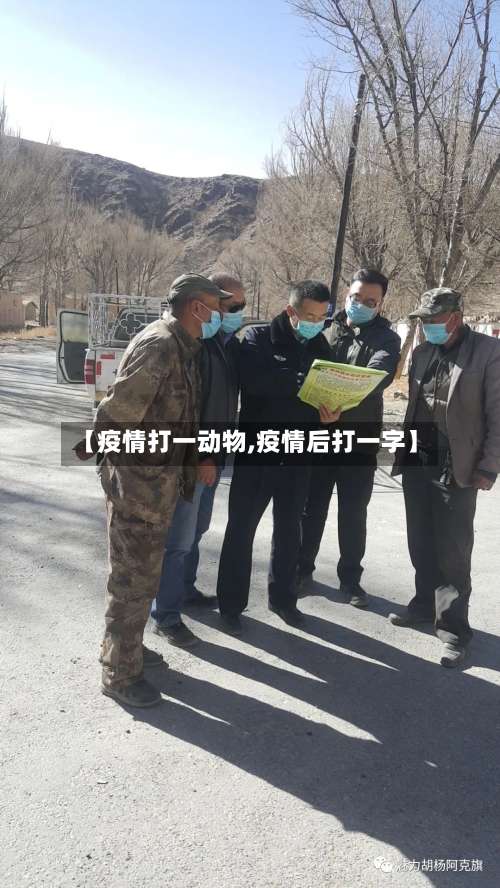 【疫情打一动物,疫情后打一字】