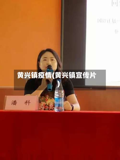 黄兴镇疫情(黄兴镇宣传片)-第2张图片