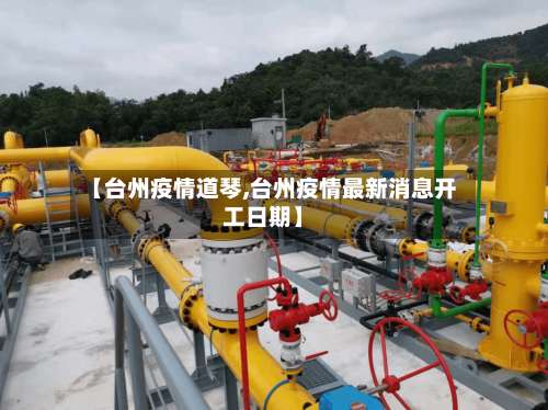 【台州疫情道琴,台州疫情最新消息开工日期】-第3张图片