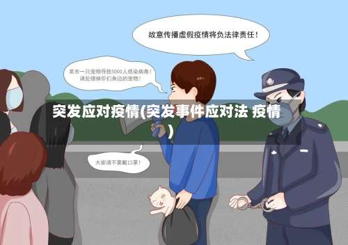 突发应对疫情(突发事件应对法 疫情)-第2张图片