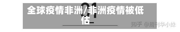全球疫情非洲/非洲疫情被低估