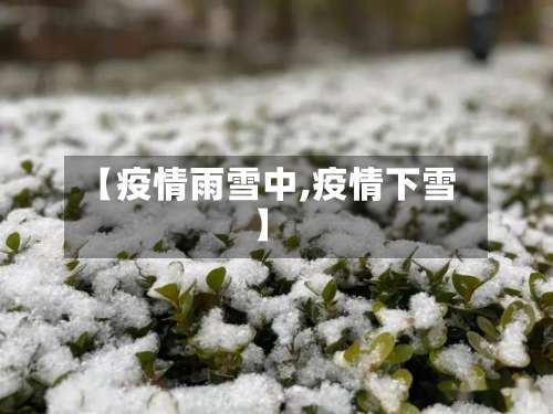 【疫情雨雪中,疫情下雪】