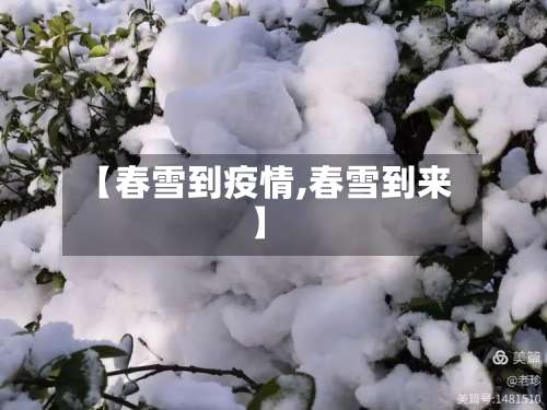【春雪到疫情,春雪到来】-第3张图片