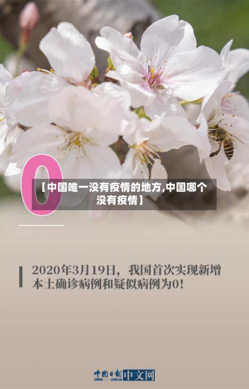 【中国唯一没有疫情的地方,中国哪个没有疫情】