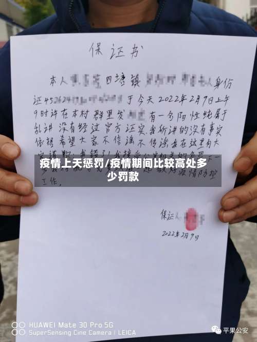 疫情上天惩罚/疫情期间比较高处多少罚款