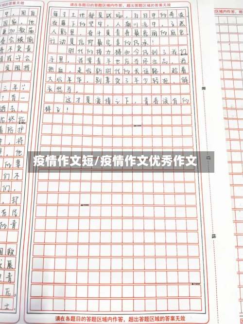 疫情作文短/疫情作文优秀作文-第3张图片