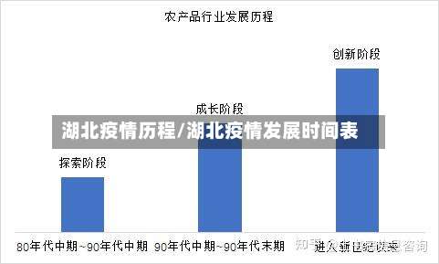 湖北疫情历程/湖北疫情发展时间表-第1张图片