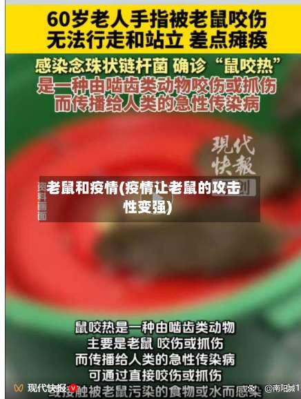 老鼠和疫情(疫情让老鼠的攻击性变强)
