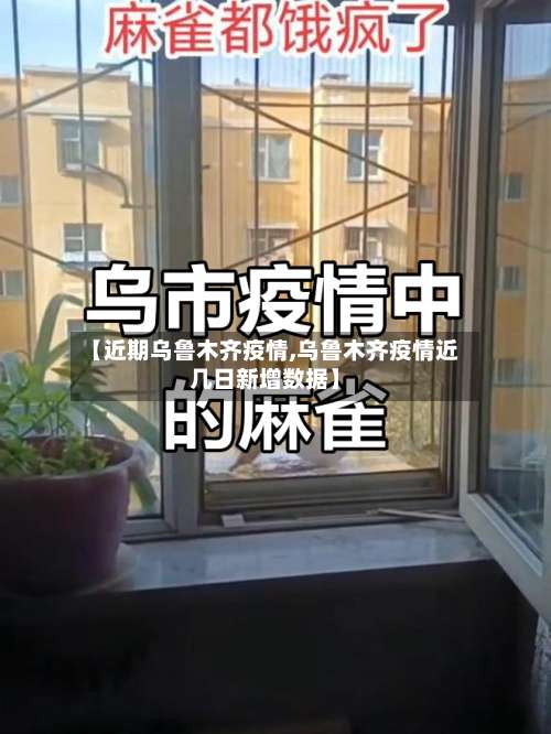 【近期乌鲁木齐疫情,乌鲁木齐疫情近几日新增数据】