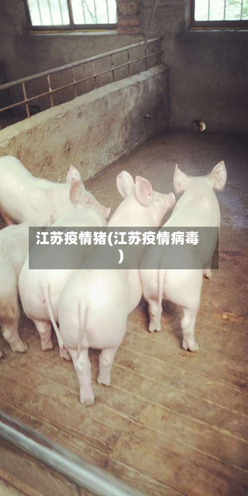 江苏疫情猪(江苏疫情病毒)