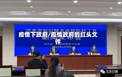 疫情下政府/疫情政府的红头文件