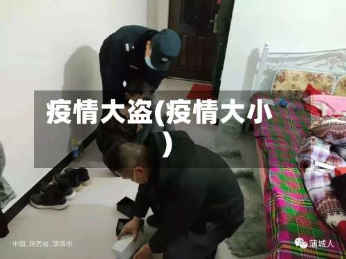 疫情大盗(疫情大小)