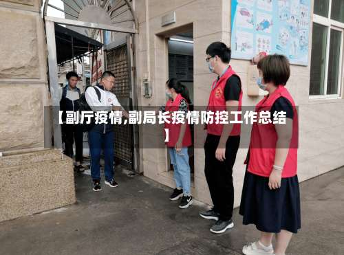 【副厅疫情,副局长疫情防控工作总结】-第2张图片