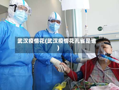 武汉疫情花(武汉疫情花孔雀是谁)-第2张图片